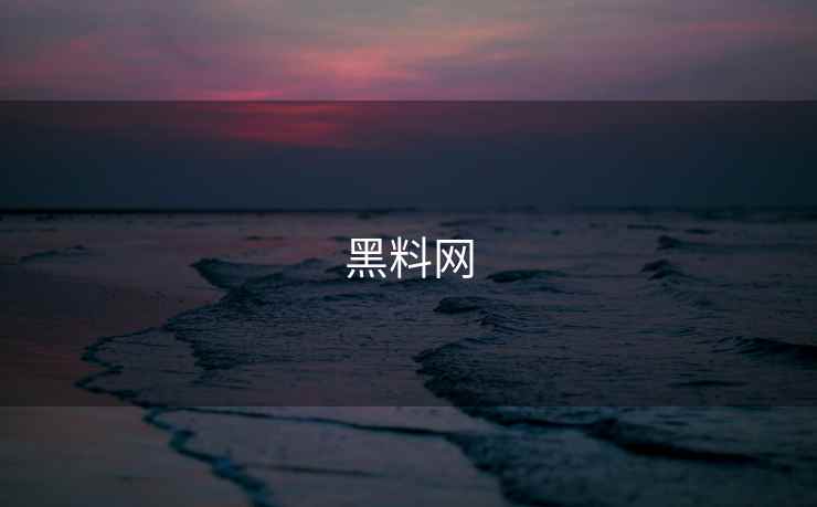 黑料网