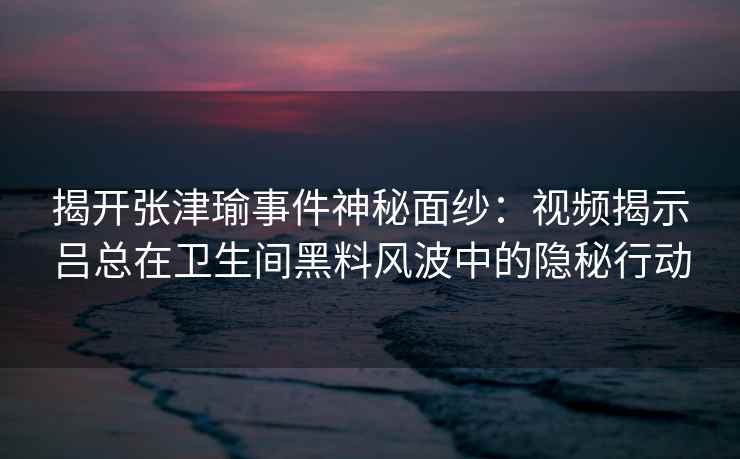 揭开张津瑜事件神秘面纱：视频揭示吕总在卫生间黑料风波中的隐秘行动